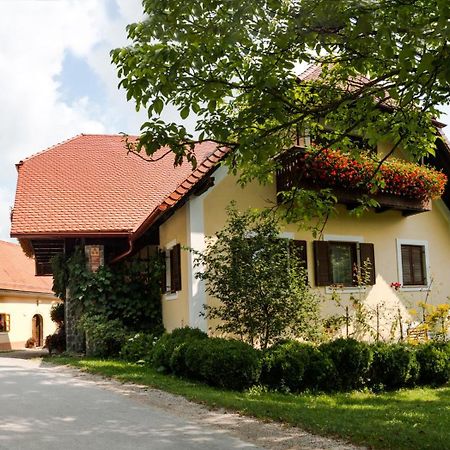 Villa Farm Sorzev Mlin Nova Cerkev Esterno foto