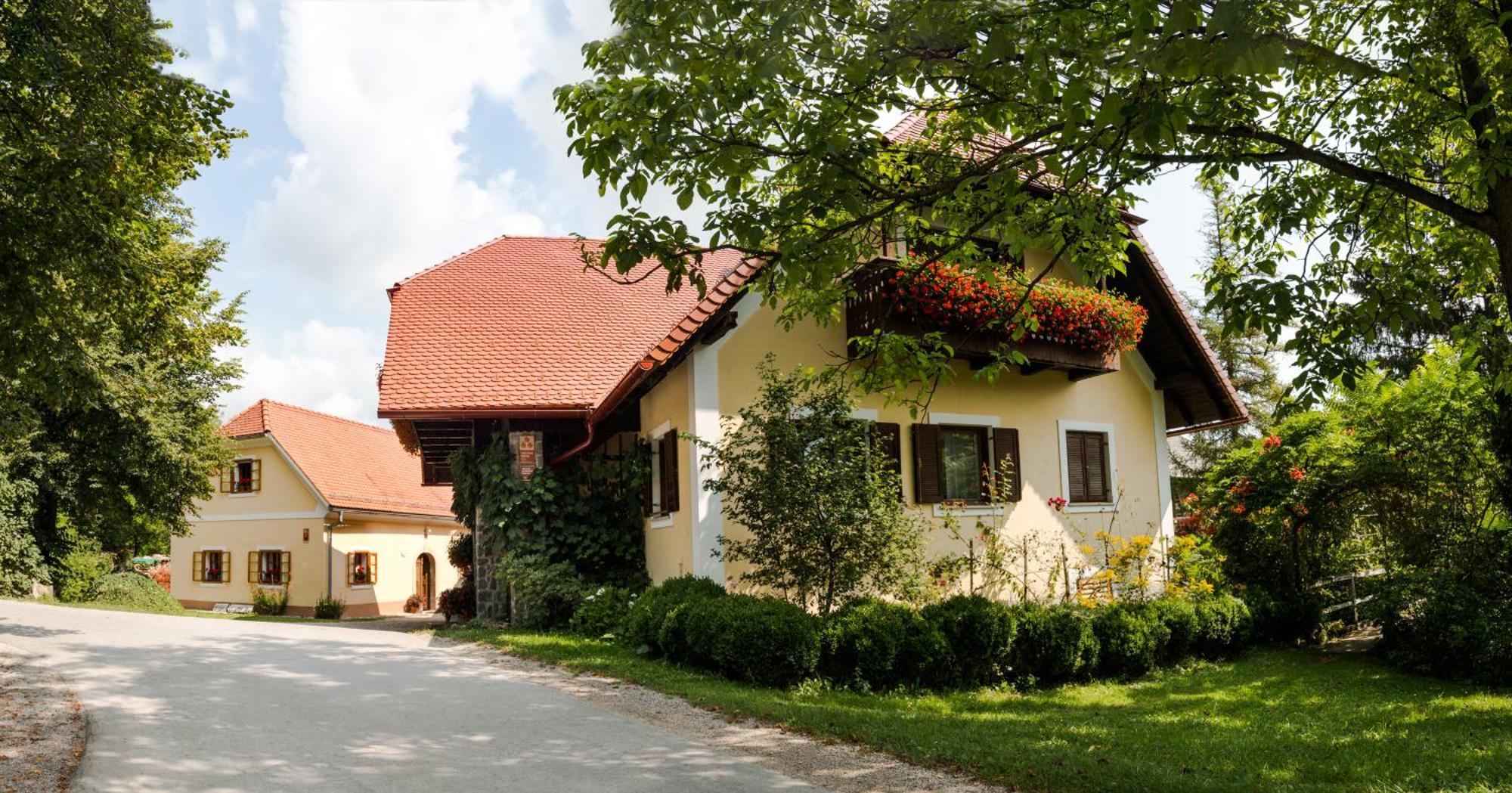 Villa Farm Sorzev Mlin Nova Cerkev Esterno foto