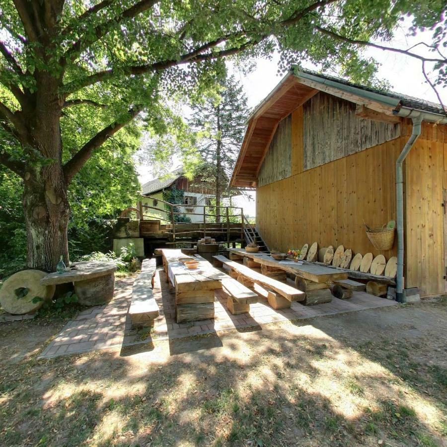 Villa Farm Sorzev Mlin Nova Cerkev Esterno foto