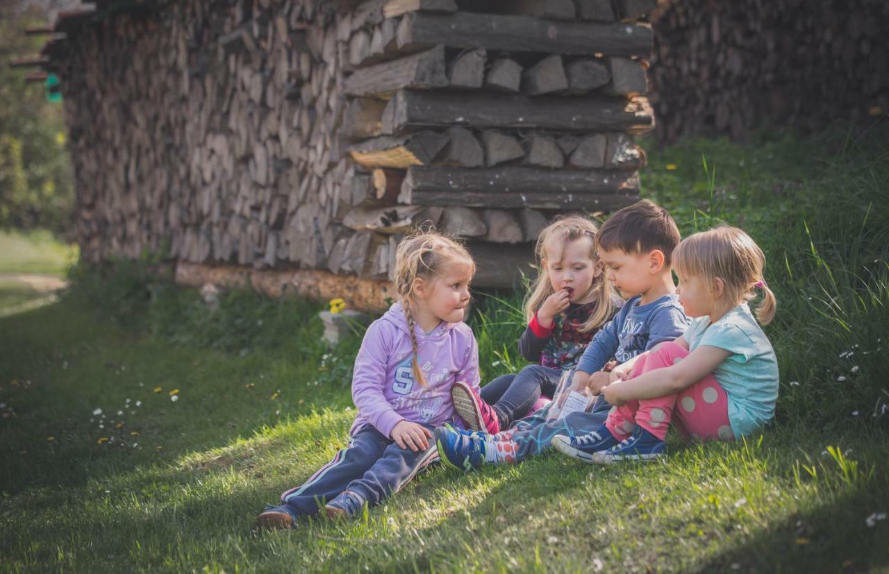 Villa Farm Sorzev Mlin Nova Cerkev Esterno foto